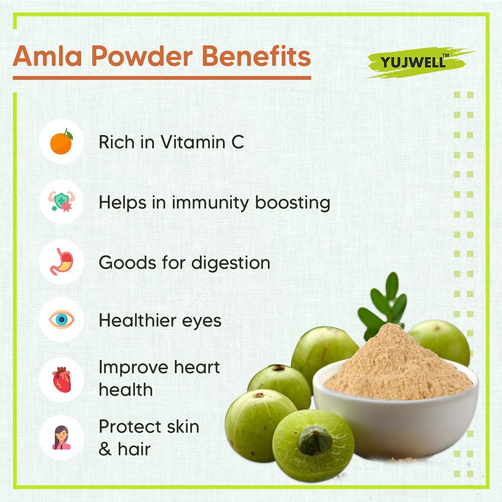 YUJWELL Organic Amla Powder Pack of 2 (100g x 2) | USDA Organic Certified