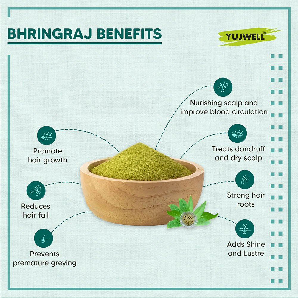YUJWELL Organic Bhringraj Powder – USDA & India Organic Certified Hair Care Herb