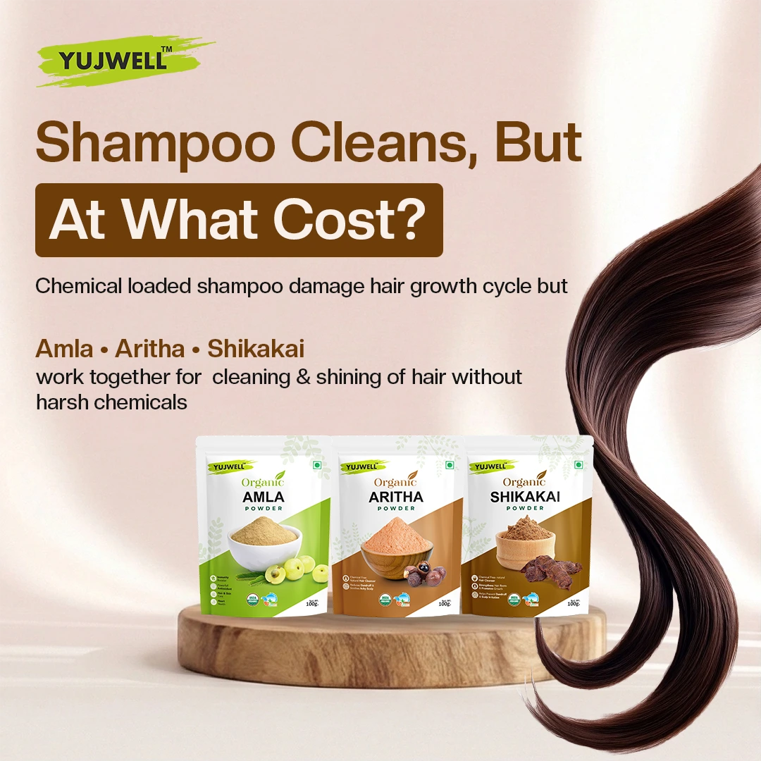 YUJWELL Amla + Aritha + Shikakai Powder Combo (100g + 100g + 100g) | Natural Herbal Hair Care Kit