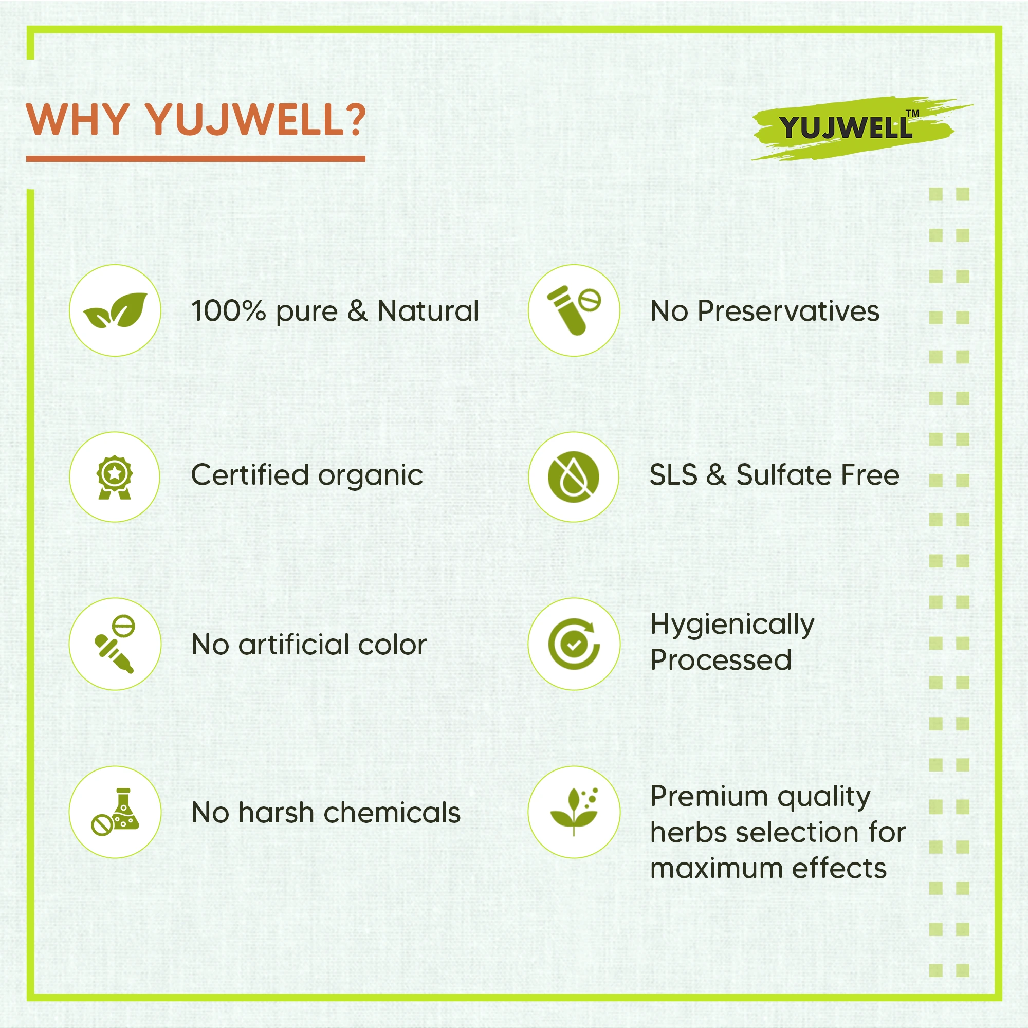 YUJWELL Amla + Aritha + Shikakai Powder Combo (100g + 100g + 100g) | Natural Herbal Hair Care Kit