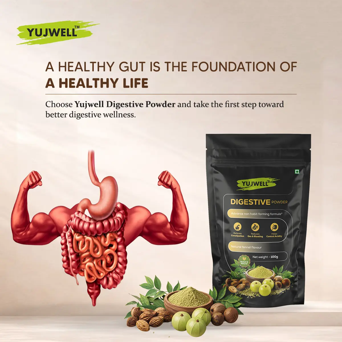 YUJWELL Digestive Powder – Herbal Blend for Healthy Digestion